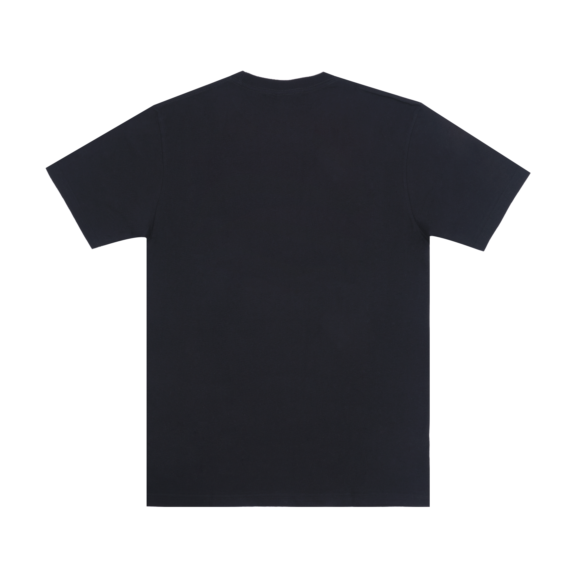 RASSUK-TS-2 RASSUK TS